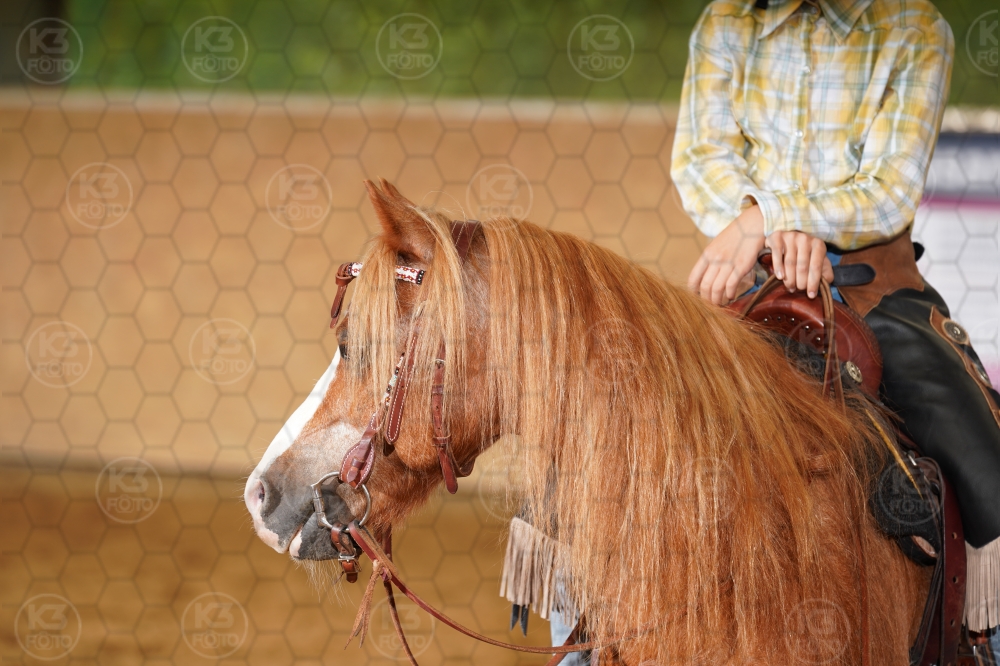 s_A9_07230.jpg